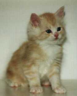 Buster