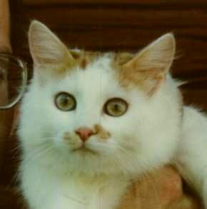 Thelma
