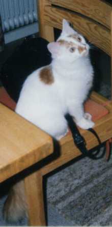 Thelmut
