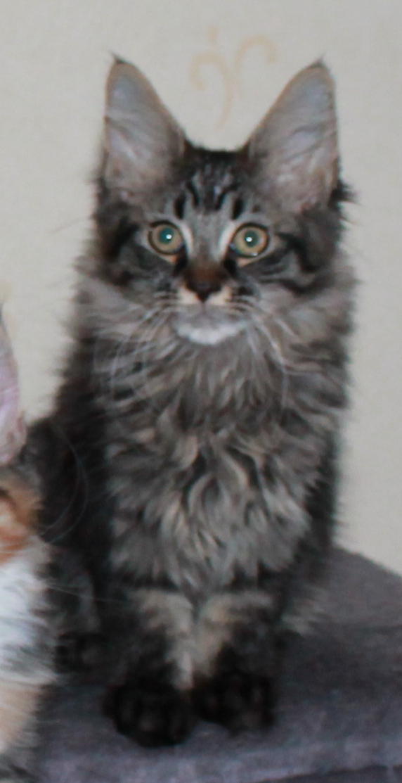 Lucifer